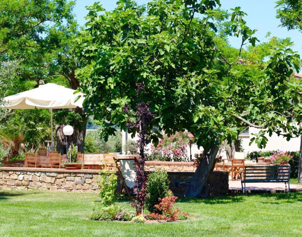 Agriturismo Vecchio Imposto Massa Marittima Eksteriør billede